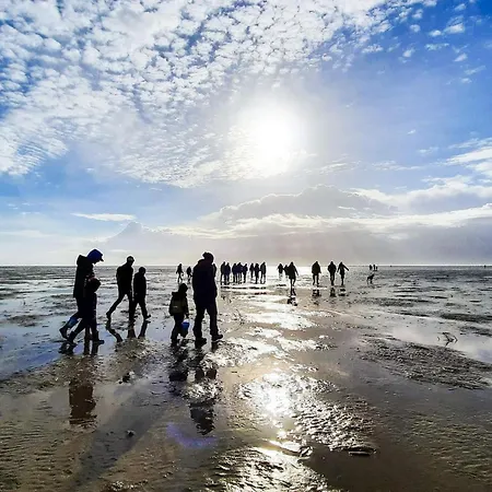 Hébergement de vacances 12 Person In Fano-by Traum