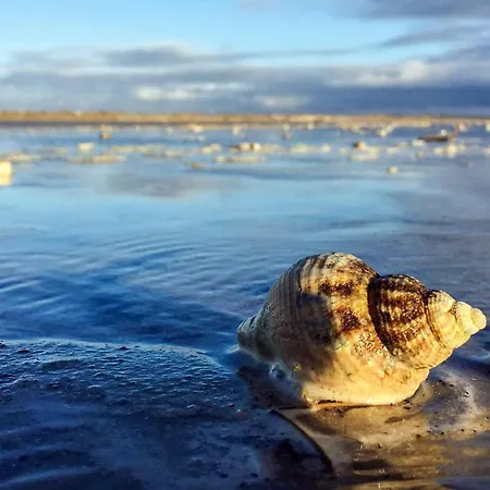 12 Person In Fano-by Traum Fanø